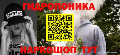 наркотики Сланцы