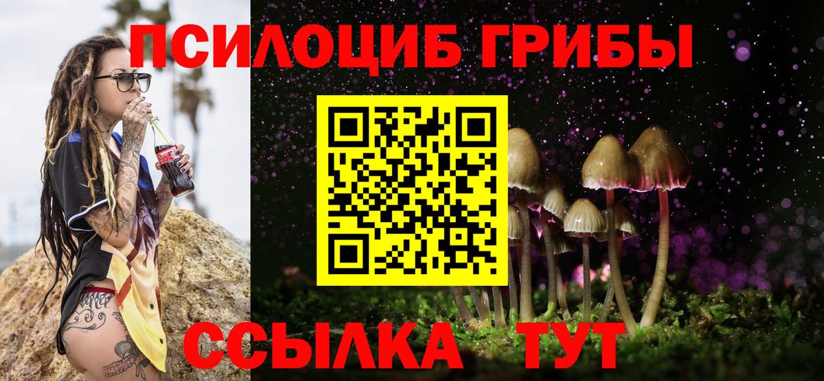 Псилоцибиновые грибы Psilocybe Балаково