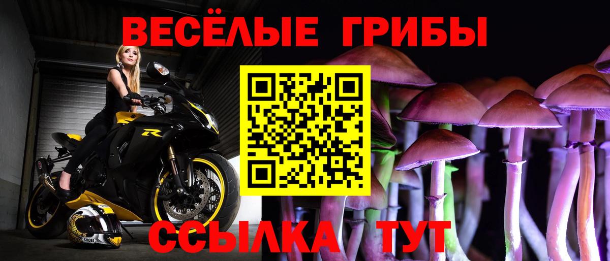 Галлюциногенные грибы мухоморы  Вход с VPN  Галлюциногенные грибы Psilocybine cubensis  Балаково 